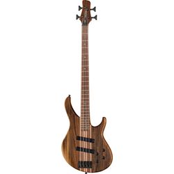 Electric Basses