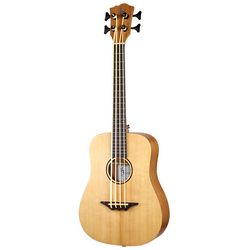 Acoustic & Semi-Acoustic Basses